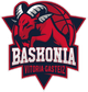 巴斯克尼亚logo