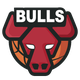 芝加哥公牛logo