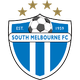 南墨尔本女足logo
