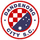 丹德农市logo